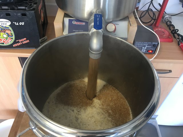 Nach dem Maischen (67°C einmaischen, 63°C Maltoserast, 72°C Verzuckerung, Jodprobe, 78°C abmaischen) wurde in den Läuterbottich mit Läuterhexe abgemaischt.