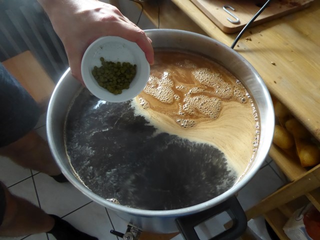 1. Hopfengabe