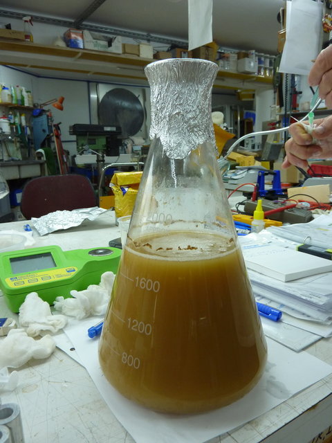 hochaktiver Starter aus einer Flasche TW12 gestrippt -Dank Stephan!!