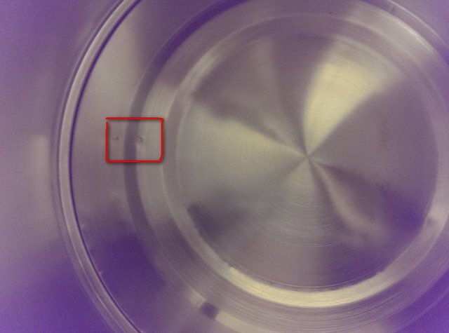 20150114_204701_Android.jpg