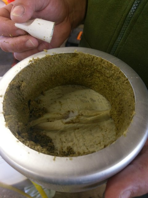 IMAG0397.jpg