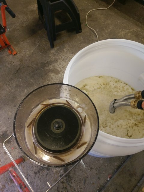 IMAG0399.jpg