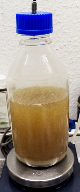 Laborglasflasche auf einem Magnetrührer.