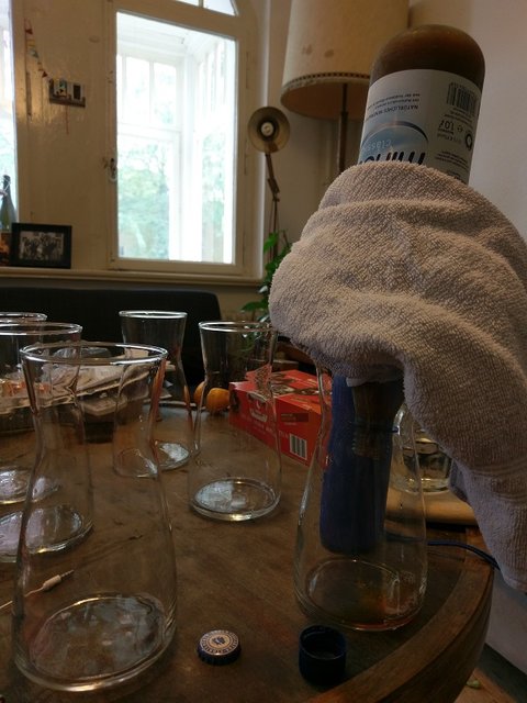 IMAG2170.jpg (213.75 KiB) 4595 mal betrachtet Die erste von 6 gefrorenen Flaschen wird zum tauen über einer 99 cent "Karaff" Ikea-Karaffe platziert