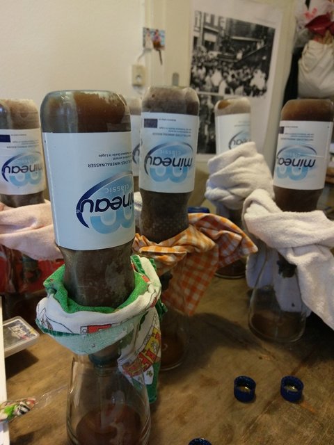 IMAG2172.jpg (200.27 KiB) 4595 mal betrachtet Da sind die 6 zum Auftauen