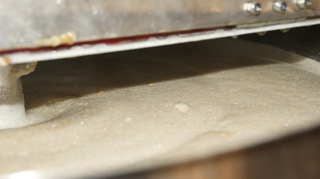 DSC08461.JPG
