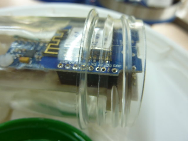 P1090050_Bildgröße ändern.JPG