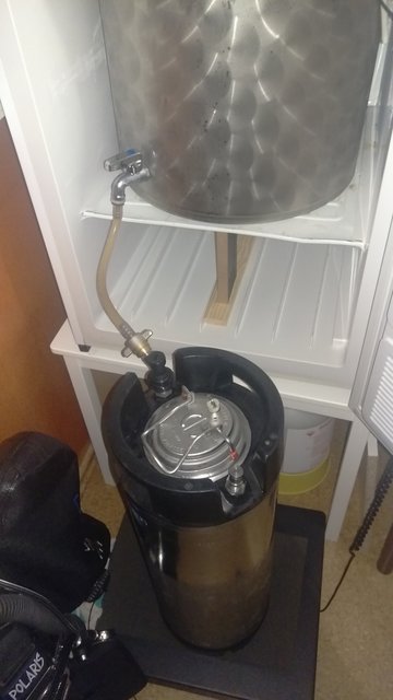 IMAG0378.jpg