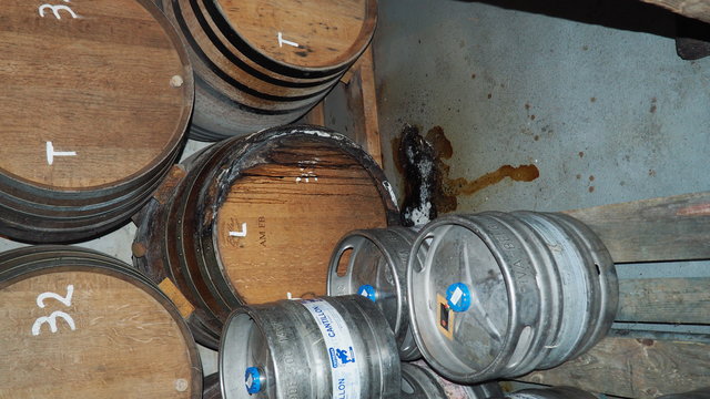 PA230128.JPG