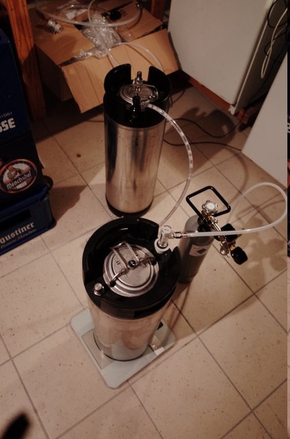 Nach 2.5Tagen im Fass bei 18°C mit ordentlich Hopfen, ab ins Servier Fass