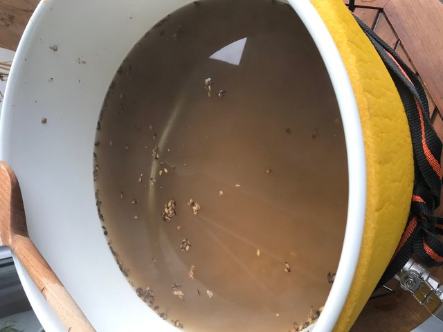 Etwas schreckliches steigt aus dem Trüben Wasser hervor...