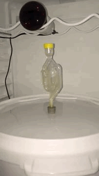 4B787DF7-7AD4-4D05-996C-58DA73E0B8B8.gif