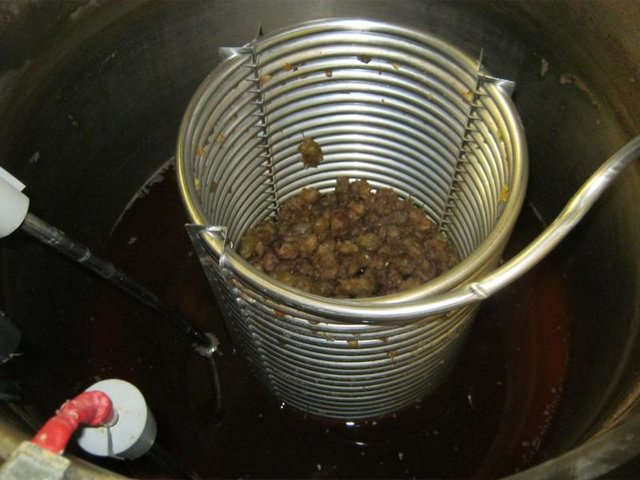 K800_Dolden.JPG