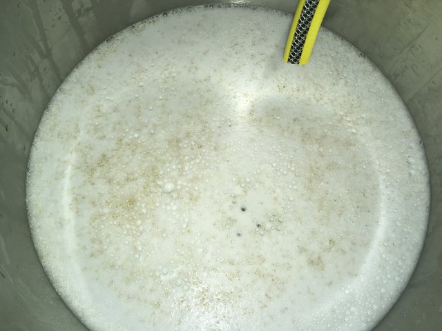 Foto 01.02.18, 18 38 26.jpg