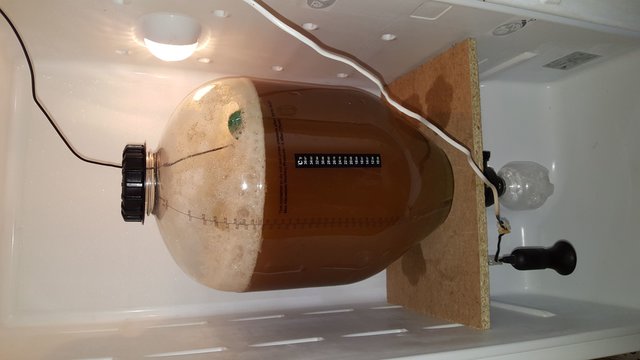 20171021_135056.jpg