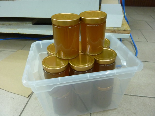 P1090180_Bildgröße ändern.JPG
