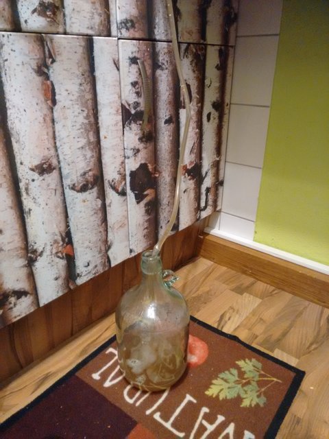Umschlauchen in die Gärflasche