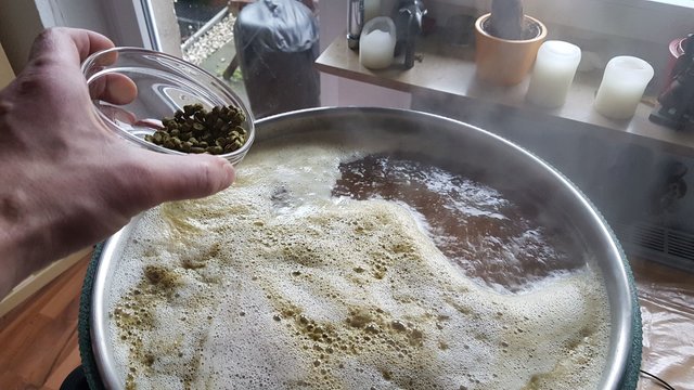 150_20180215_155436.jpg