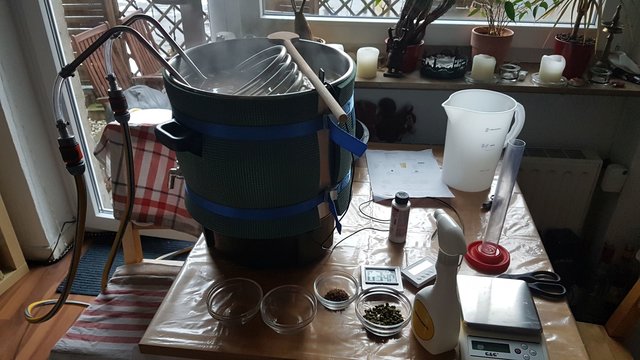 160_20180215_170516.jpg