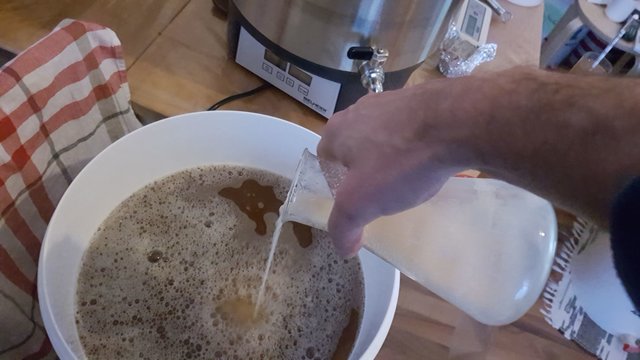 210_20180215_181833.jpg