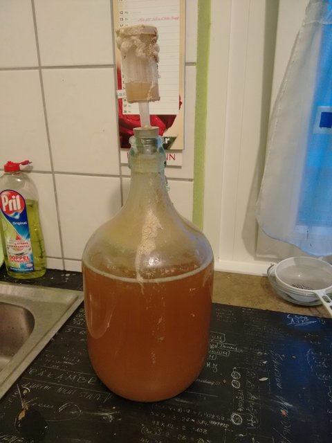 zurück in der Küche