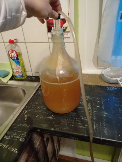 0390 Umschlauchen 1.jpg
