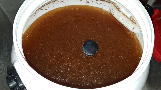 Die schwarze Linie ist die Solltemperatur