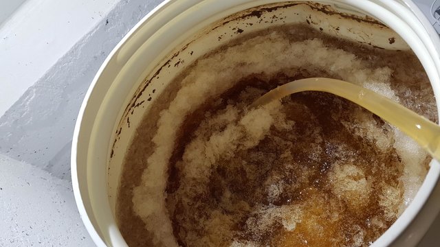 Eisbier_schlauchen 2.JPG