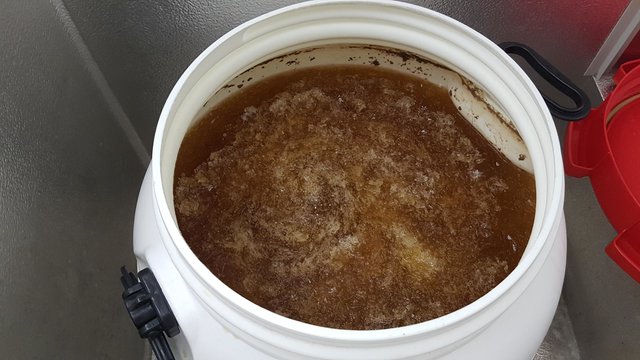 Eisbier_gefroren.JPG