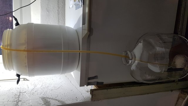 Eisbier_schlauchen.JPG