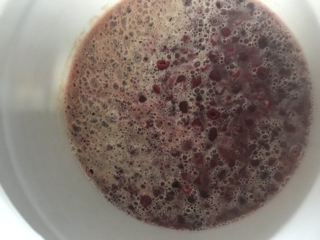 4C1C0987-6A00-4D69-8943-6A9E5456E697.jpeg