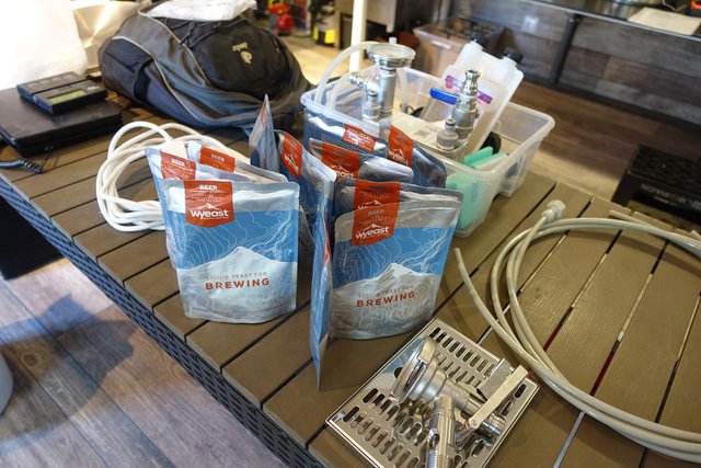 DSC05305.JPG (1.43 MiB) 12238 mal betrachtet so viel schöne Mikroorganismen