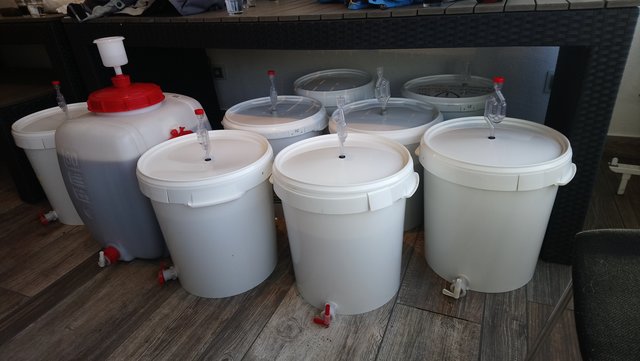 DSC_0317.JPG (1.5 MiB) 12427 mal betrachtet die Früchte unserer Arbeit