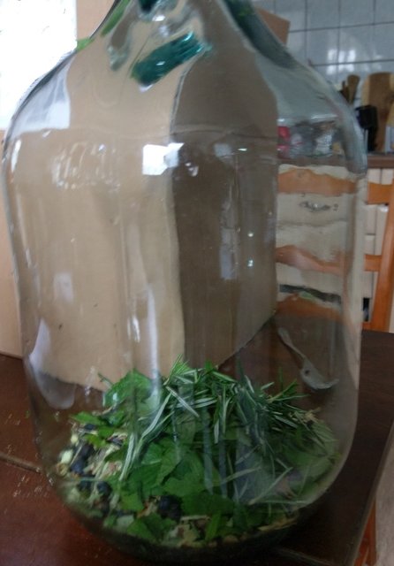 IMAG3499.jpg (339.46 KiB) 10927 mal betrachtet Alle Botanicals sind abgewogen und im 5L Glasgefäß gelandet