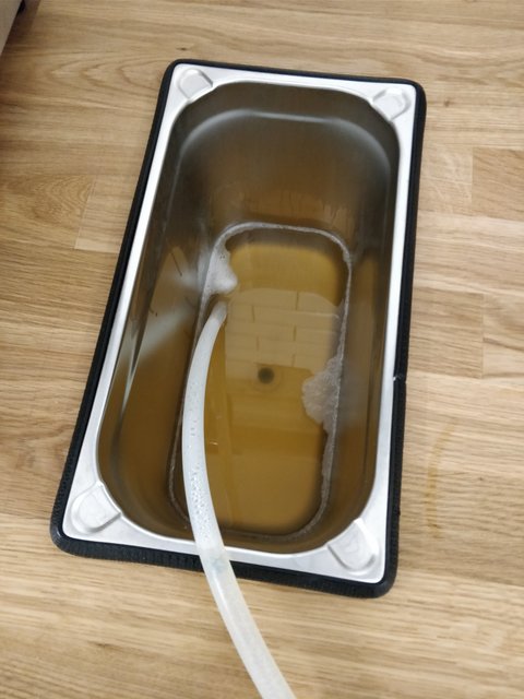 Läutergrant
