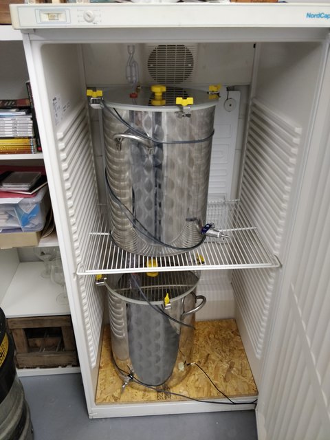 Ab in den Kühlschrank, bzw. in dem Fall Wärmekammer (Im Keller sind nur ca. 15°C)
