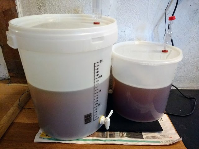 weizen2.jpg