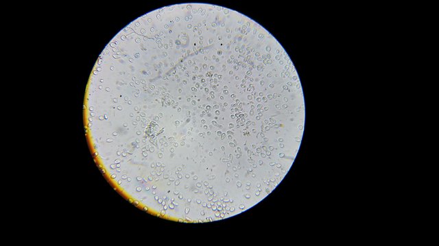20150227_182854.jpg