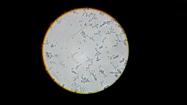 20150227_185324.jpg