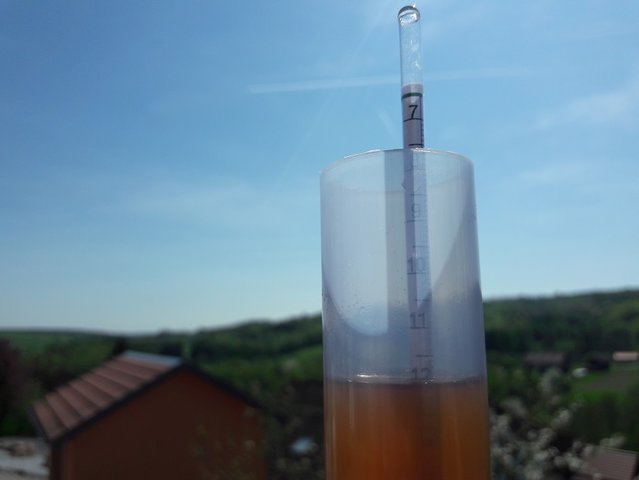 11,8 °P, etwas mehr als erwartet