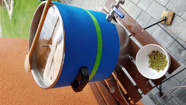 Hopfen #1 nach 15min, 20g Hallertauer Perle