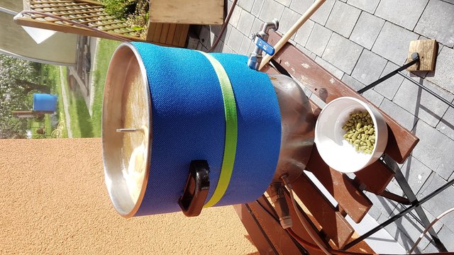 2.Hopfengabe 25g Mittelfrüh 15min vor Kochende