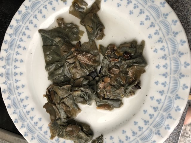 389CDF7D-7DF1-4042-99F8-48BED91F6BEE.jpeg (2.41 MiB) 5150 mal betrachtet Faß-Salat