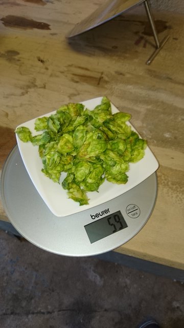 DSC_1925.JPG
