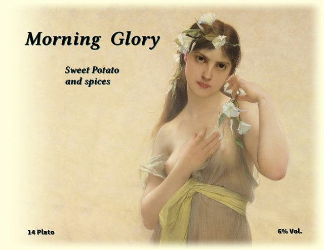 Morning Glory.jpg