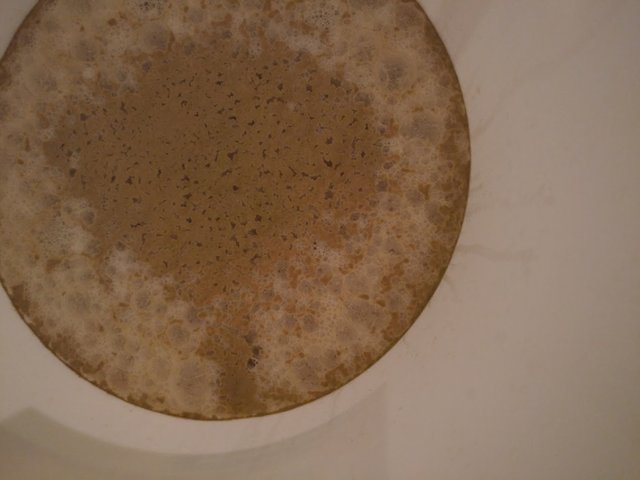 paleale.jpg