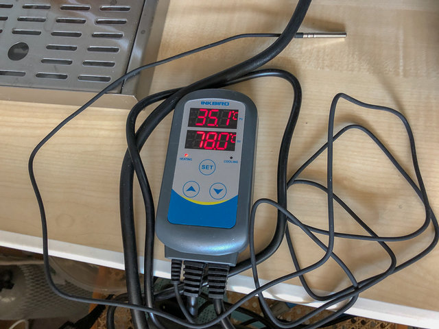 Es ist viel zu warm...