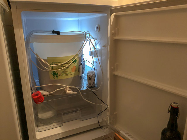 Gärschrank mit Gärfass und Blow Off Tube