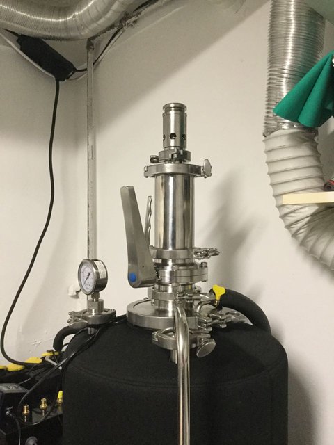 IMG_0063.jpg (120.3 KiB) 10767 mal betrachtet Unitank Dry Hopping Port