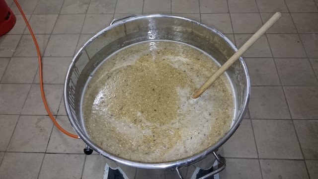 Einmaischen bei 71°C - durch 10kg Malz fiel die Temperatur auf gewünschte 67°C.